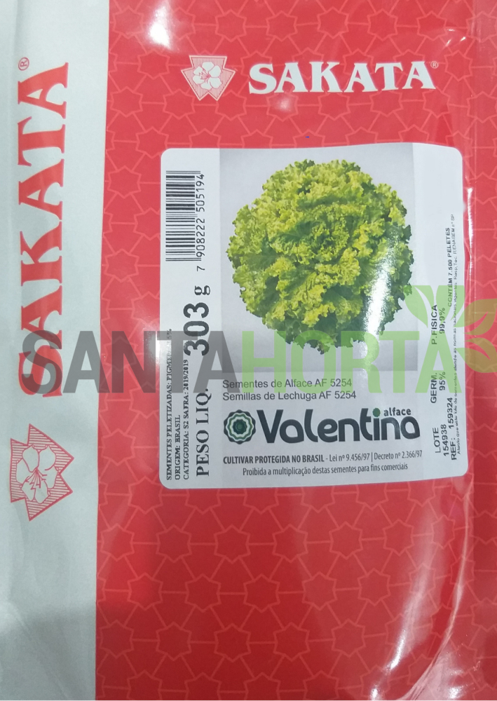 Alface Valentina
