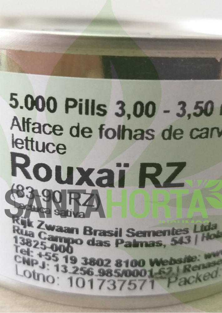 Alface Rouxaï 