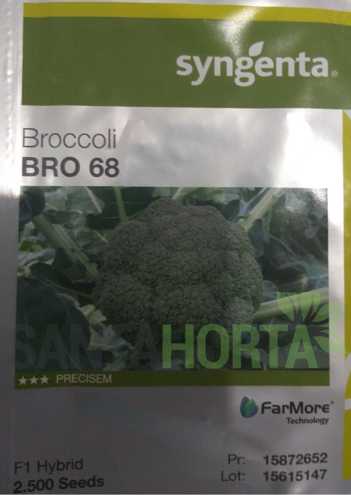 BROCOLIS BRO 068 2.500 SM SYNGENTA