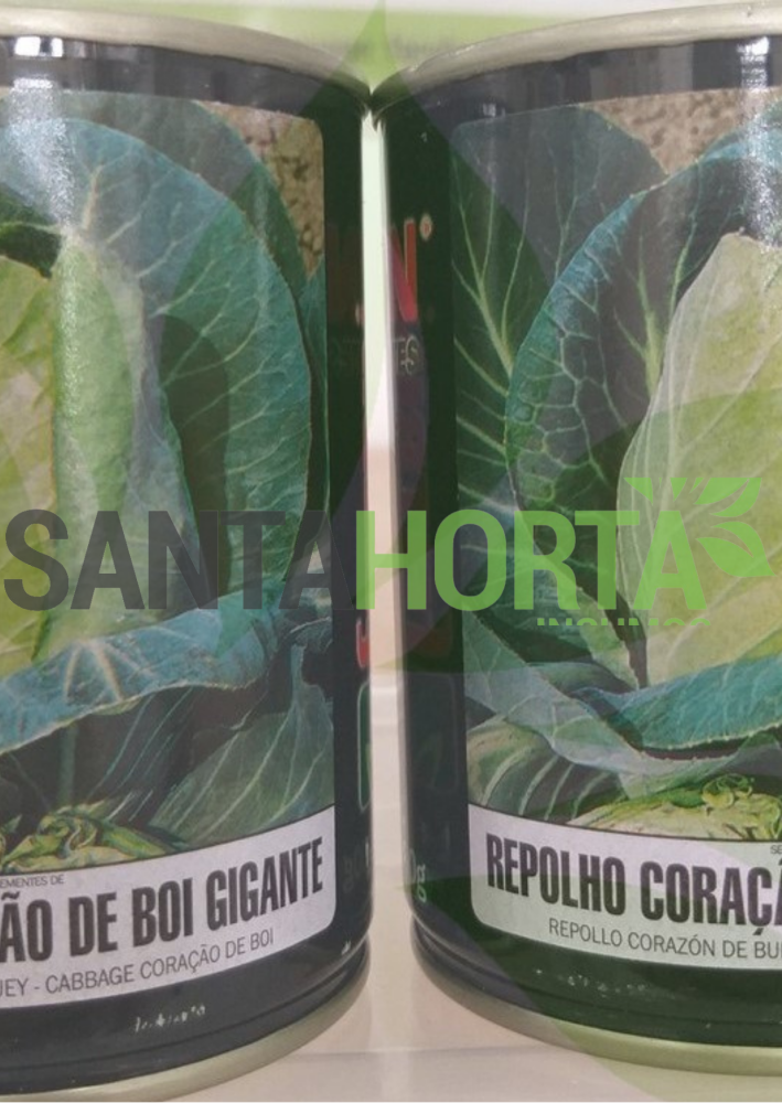 Repolho Coração de Boi Gigante