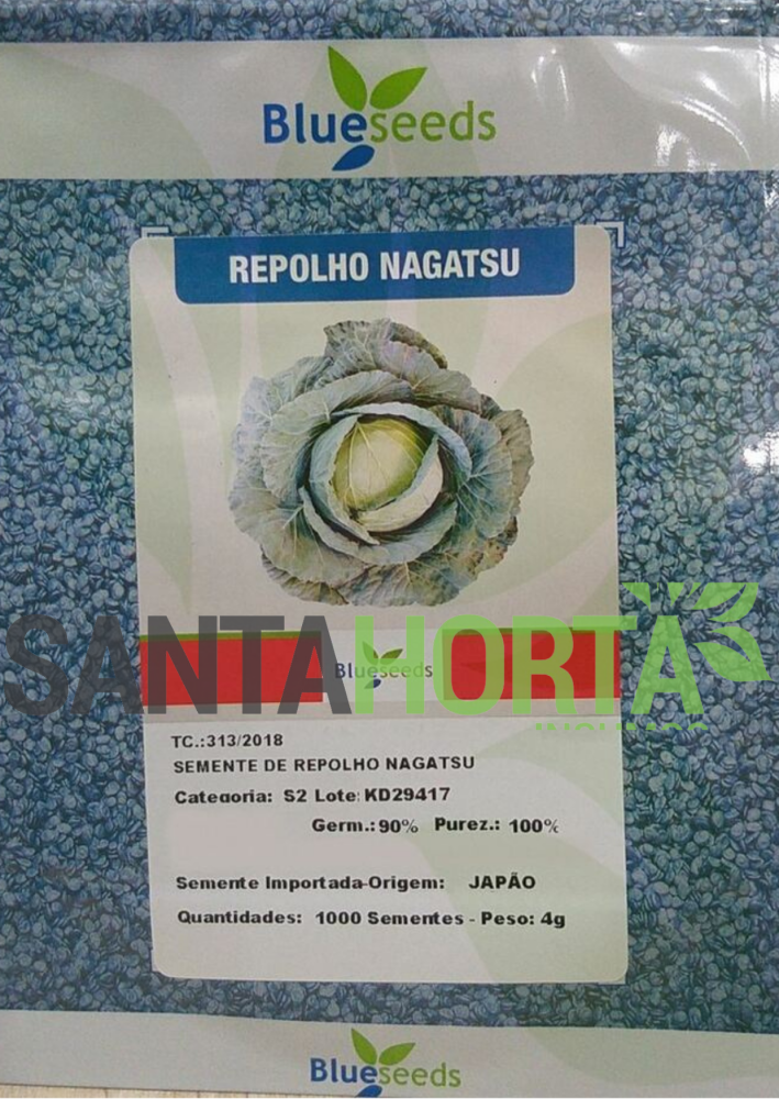 Repolho Nagatsu