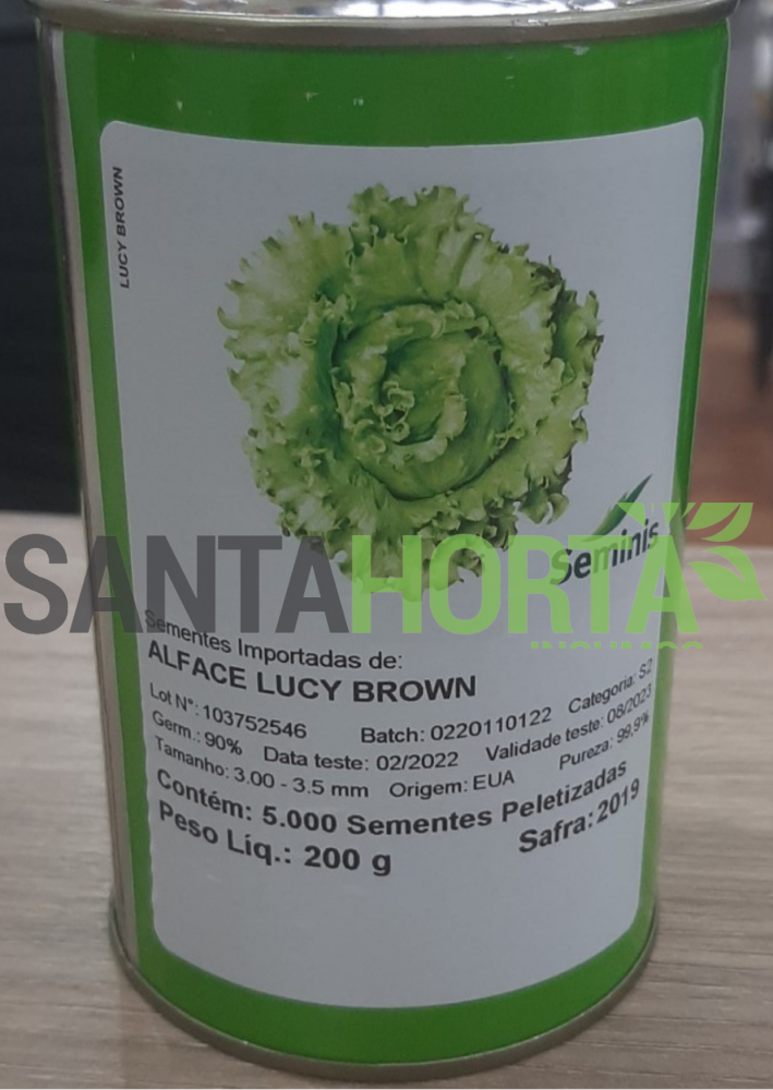 Alface Lucy Brown