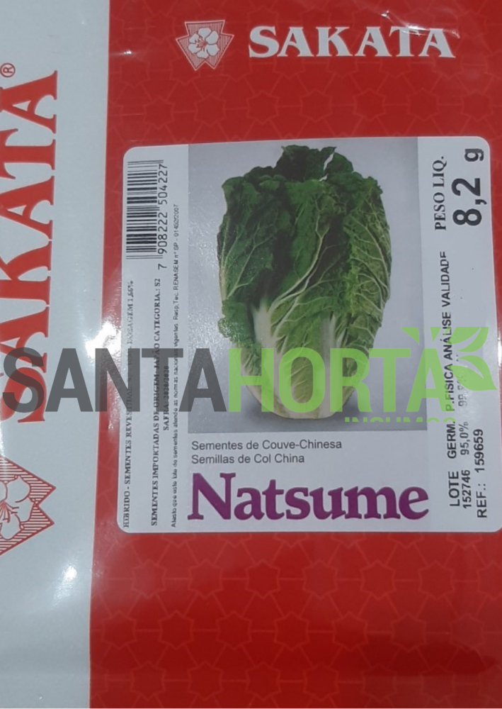SEMENTES DE COUVE CHINESA NATSUME (HIBRIDO ENVELOPE 2.000 SEM)