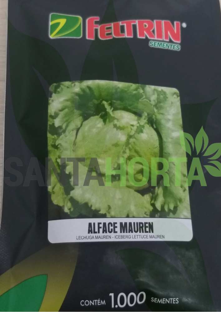 Alface Mauren