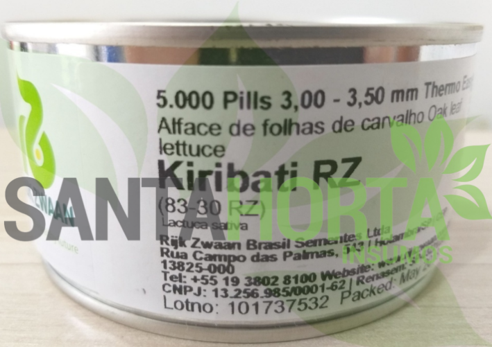 ALFACE KIRIBATI  5 MX - RIJK ZWAAN