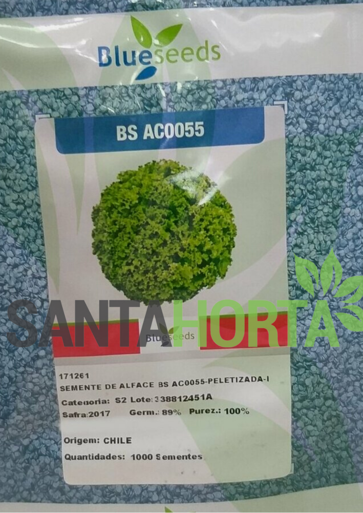 Alface BS AC0055