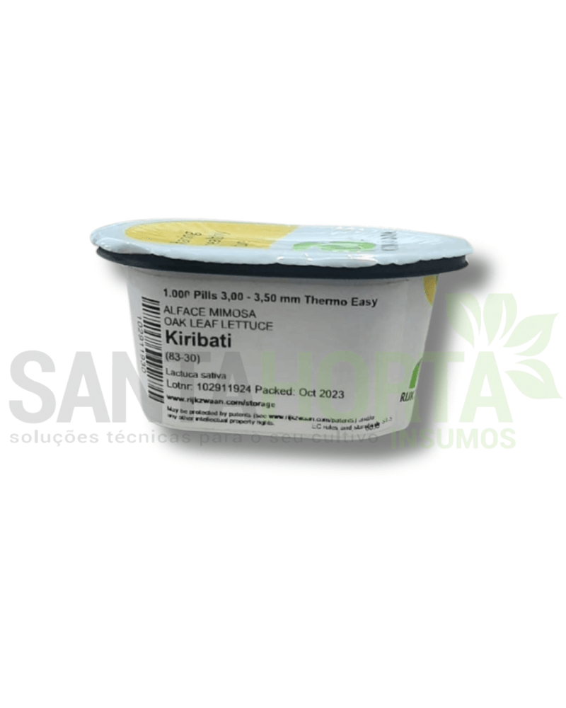 ALFACE KIRIBATI 1 MX - RIJK ZWAAN