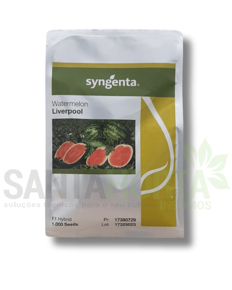 MELANCIA LIVERPOOL 1000 SM SYNGENTA