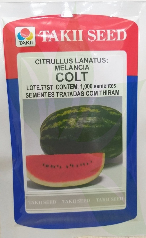 Melancia Híbrida Colt