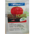 Tomate Híbrido Supremo R