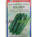 Pepino Soldier