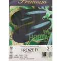 Berinjela Híbrida Firenze