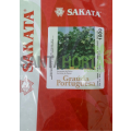 Salsa Graúda Portuguesa