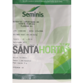 SEMINIS - TOMATE HIBRIDO FLORIDA 91 ENV. 1MIL SEM.