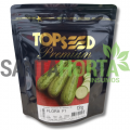 SEMENTES DE ABOBRINHA HIB. FLORA F1 - TP - PCTE PQ ALUM 1 mx